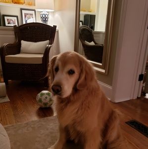 Meet your Posher, Vivian